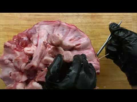 Rotisserie Trussing Needle - 12 inch