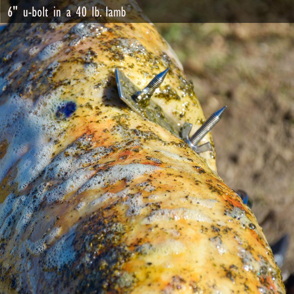 A close up of a SpitJack Stainless Rotisserie Trussing U-Bolt - 8" (2 Pack) with spikes on it.