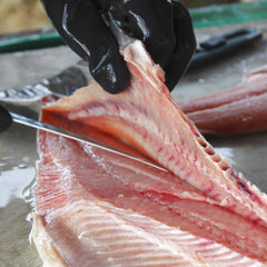 A person cutting a fish with a SpitJack Meat Trimming and Boning Knife - 6 Inch Curved Blade.